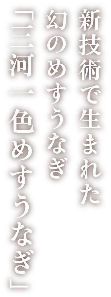 新技術で生まれた幻のめすうなぎ「三河一色めすうなぎ」